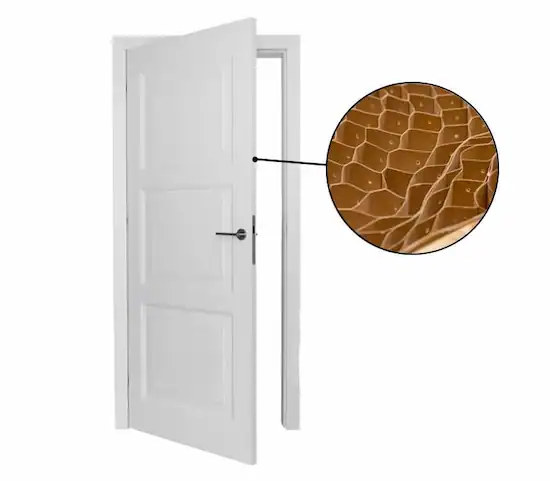 White door with honeycomb cardboard core detail.